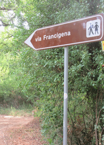 francigena